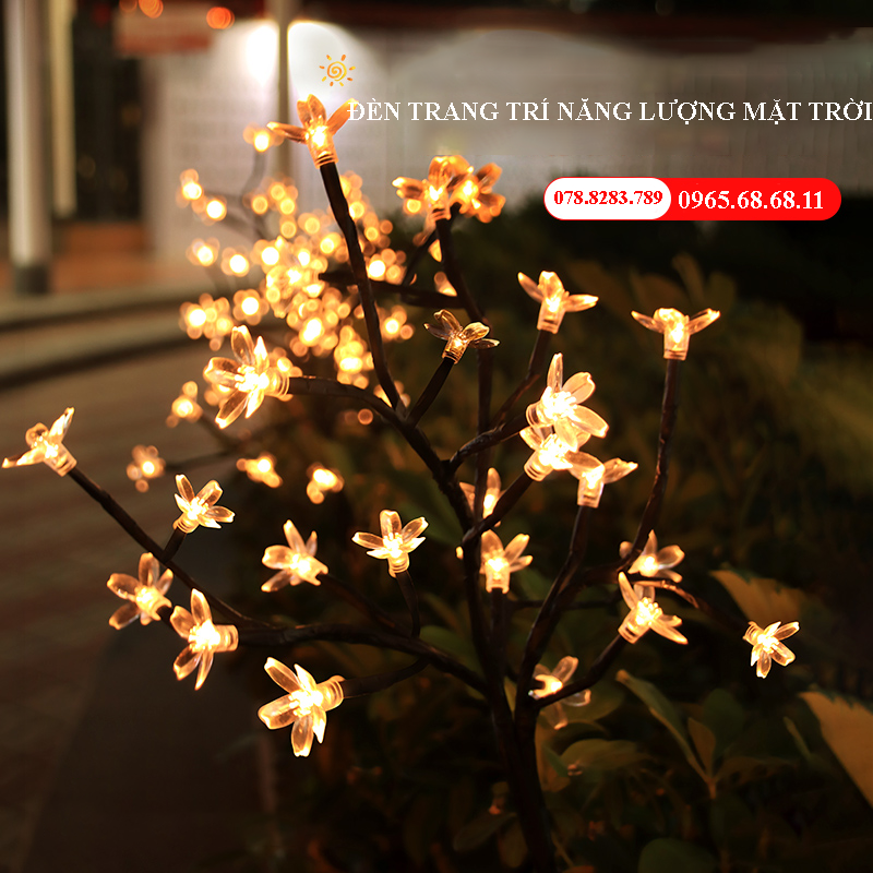 Đèn bãi cỏ năng lượng mặt trời đèn trang trí năng lượng mặt trời cắm mặt đất cho sân vườn