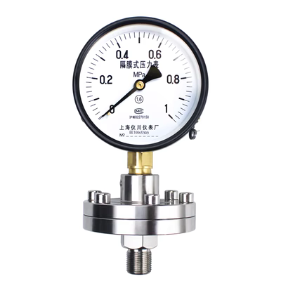 Đồng hồ đo áp suất màng dụng cụ Yichuan Thượng Hải YTP100ML 0-60MPa